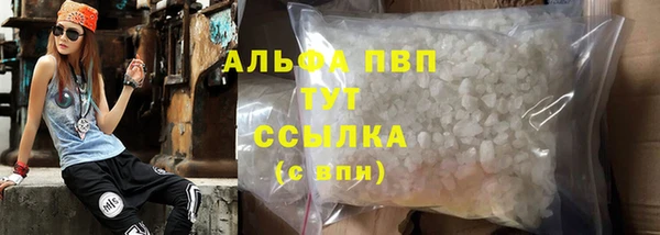 прущие грибы Иноземцево