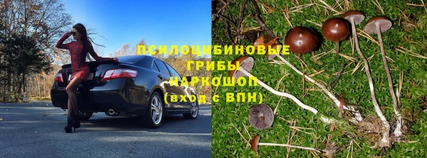 ешки Лагань
