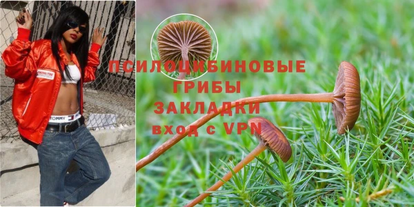 крисы Лабытнанги
