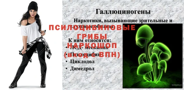 2c-b Ладушкин