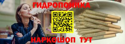 дживик Дубна