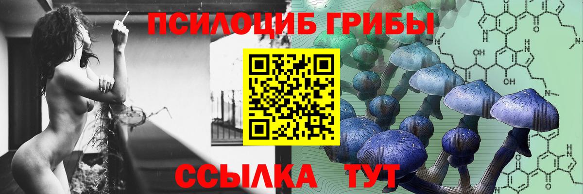 Галлюциногенные грибы Magic Shrooms Нижневартовск